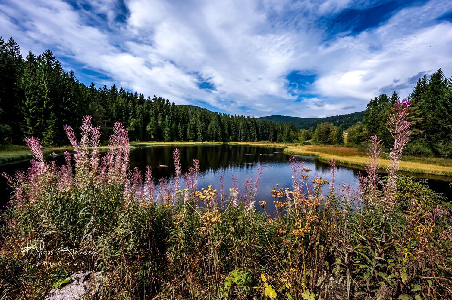 Apartamento Fewo Sunneschii, Hoechenschwand, Dorf Am Himmel, Sauna Im Haus Exterior foto