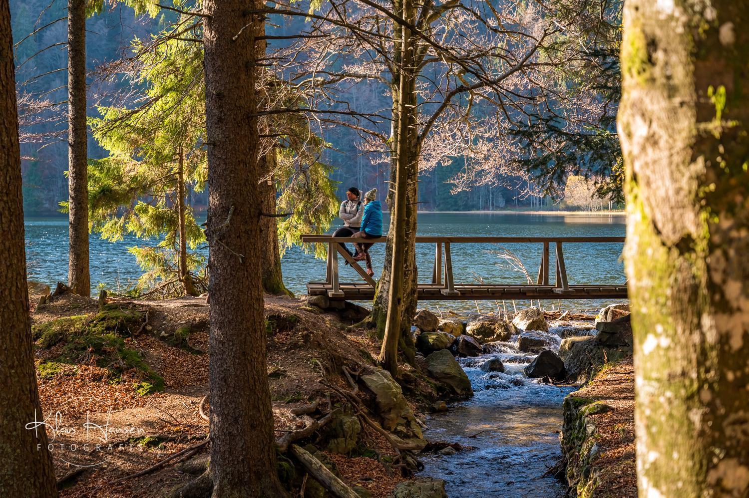 Apartamento Fewo Sunneschii, Hoechenschwand, Dorf Am Himmel, Sauna Im Haus Exterior foto