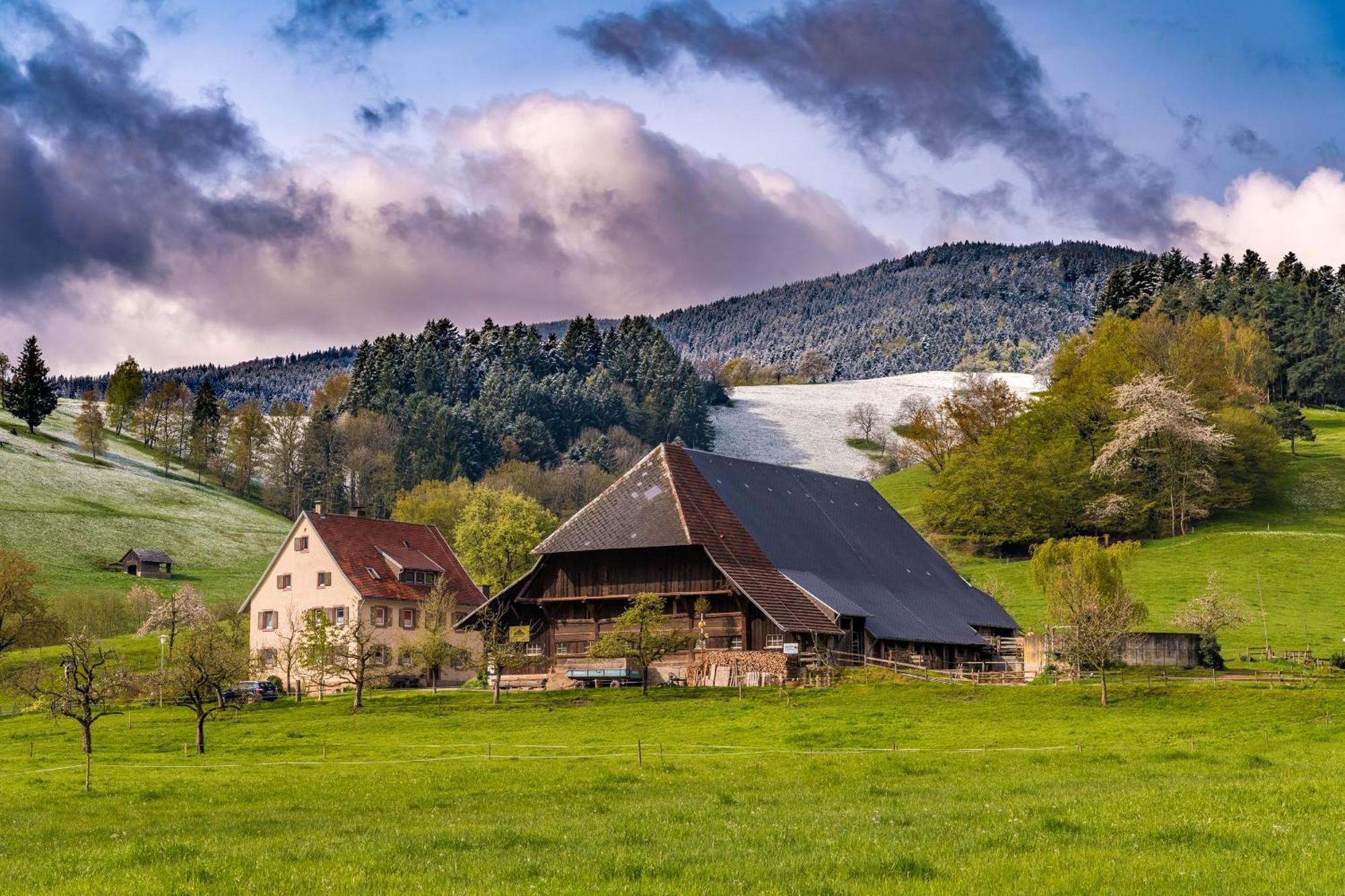 Apartamento Fewo Sunneschii, Hoechenschwand, Dorf Am Himmel, Sauna Im Haus Exterior foto